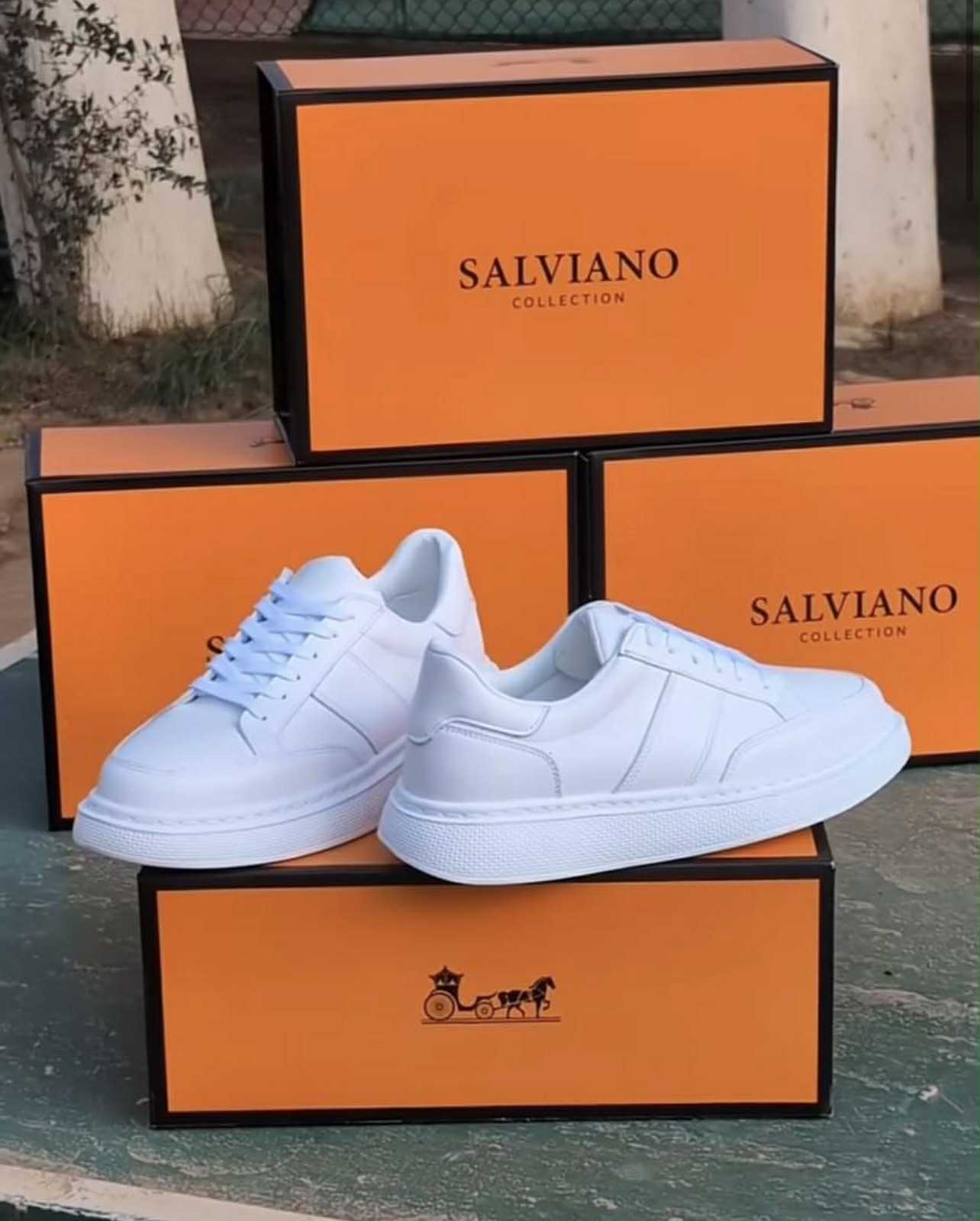 SALVIANO Basket Tendance 2025